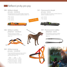 Reflektierendes Hundehalsband Reflektierendes Hundehalsband